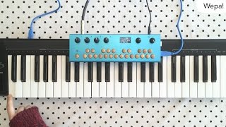 Critter amp Guitari  Low Frequencies from the Organelle [upl. by Lundin]