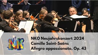 Camille SaintSaëns  Allegro appassionato Op 43  Nagolder Kammerorchester [upl. by Thrasher395]