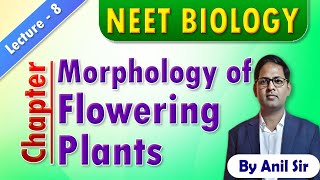 Morphology of flowering plants L8 neetbiology morphologyoffloweringplants [upl. by Proudman]