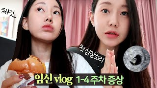 VLOG ep3 임신 브이로그 14주 극초기 증상  56주차 체덧 시작 🤢 심장소리 초음파로 성별 맞추기 [upl. by Ikeda]