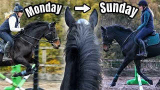 A WEEK IN THE LIFE OF MY NEW HORSE 🐴 [upl. by Shaver783]