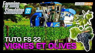 TUTO FARMING SIMULATOR 22  Comment cultiver VIGNES raisins et OLIVES [upl. by Graf]