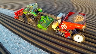 Potato Planting  DeutzFahr Agrotron 7250 TTV on RowCrop Tracks  Dewulf Miedema belt planter [upl. by Iahcedrom]