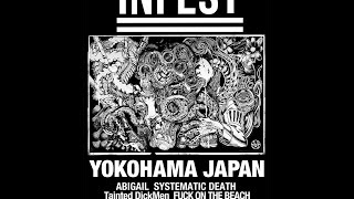 Infest  Live in El Puente  Japan Tour 2017 [upl. by Dur]