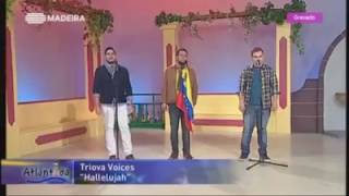 Aleluya Cover  TriovaVoices en RTP Madeira  Músicos Venezolanos en Madeira [upl. by Mcclimans]