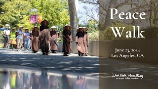 Peace Walk  Los Angeles CA  20240623 [upl. by Ubana]