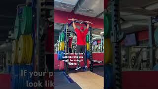 Full range of Motion pullups pullups back gym workout results doitright motivation pull [upl. by Lorien404]