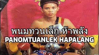 MUAY KHAO STYLE  Panomtuanlek Hapalang พนมทวนเล็ก ห้าพลัง  Muay Thai Highlights [upl. by Seyah]