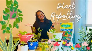 A Day Of Plant Care🌱🇦🇪  A Positive Day  Anjali Sreedharan  Malayalam Vlog  Aesthetic  Dubai🇦🇪 [upl. by Undis]