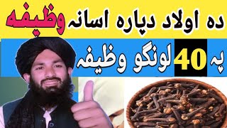 Aulad K Liye Wazifa Pashto  Narena Aoulad Da Para Wazifa  Wazifa  Wazifa Vs Taweez [upl. by Aihtibat]