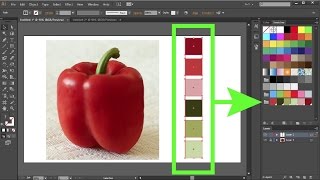 How to Create Custom Color Swatches in Adobe Illustrator [upl. by Onfre755]