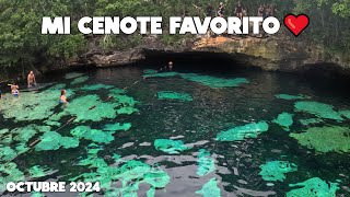 Playa Del Carmen Hoy🔴Cenote Azul Octubre 2024 [upl. by Einor92]