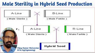 MALE STERILITY IN HYBRID SEED PRODUCTION [upl. by Dane]