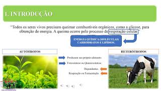 Processo de Obtenção de Energia pelos Seres Vivos parte 1 [upl. by Ramej]