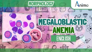 Megaloblastic Anemia  Histo pathology  RBC Morphology  English [upl. by Nahc235]