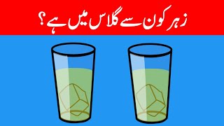 6 Hard Riddles That Will Test Your Mind  Urdu Riddles  Riddles With Answers  The Truth Riddles [upl. by Yknip952]