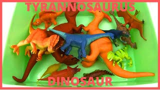 Learn DINOSAUR Names for kids TYRANNOSAURUS TRICERATOPS English Korean 공룡 이름 배우기 공룡 티라노사우르스 영어 [upl. by Irahs37]