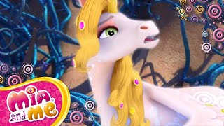 The Sun Unicorn and the Moon Unicorn  Two Special Unicorns  Season 3  Mia and me [upl. by Killy]