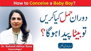 Steps to Conceive a Boy in URDUHINDI  Tips to give birth to Baby Boy  Boy Pregnancy Kesy Kary [upl. by Nitz]