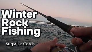 Winter Rock Fishing Surprise Catch [upl. by Ahtel]