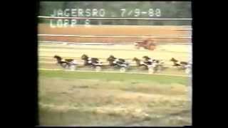 Svenskt Trav Derby 1980 Mustard [upl. by Pike]