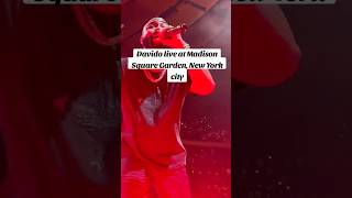 I Survived Davidos Madison Square Garden Concert [upl. by Munmro]