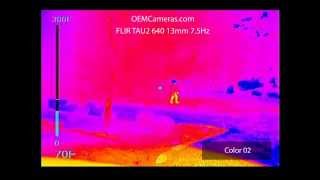 FLIR TAU 2 640 13mm 75 FPS Color Filter Comparison amp Digital Zoom  OEMCamerascom [upl. by Adivad]