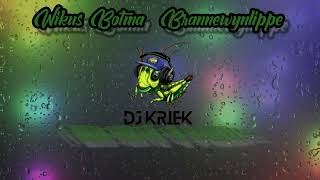 Wikus Botma  Brannewyn Lippe DJ Kriek Remix [upl. by Nednal962]