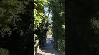 Coming down from Coit Tower via Filbert Street San Francisco CA [upl. by Forster]