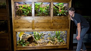 Easy DIY Plywood Reptile Enclosures [upl. by Alletsirhc]