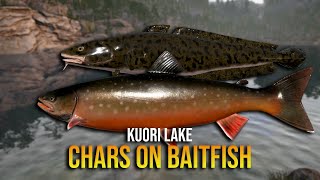 Kouri Lake Chars on Baitfish  Russian Fishing 4 [upl. by Paradies]