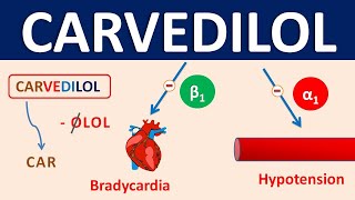 Carvedilol  Mechanism precautions side effects amp uses [upl. by Eriam]