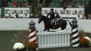 Video of POMEROL ridden by GILL LIBRO from ShowNet [upl. by Wina]