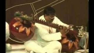 Rudra Veena by Pandit Suvir Misra  Harballabh 2007 2 [upl. by Noiemad]