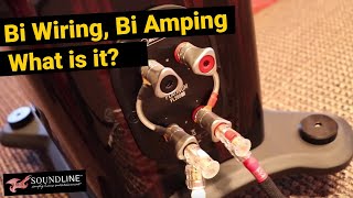 Bi Wiring Bi Amping What is it [upl. by Leumek]