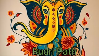 Rudri Path Adhyaya  Rudri  Vedic Mantra Vedic Education [upl. by Annairdua]