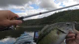 Building a Custom Fishing Rod and Catching a 3lb Spotted Bass with It at Lake Oroville [upl. by Berlin]