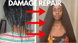 DIY ANTIBREAKAGE Protein Treatment for LONG STRONG HEALTHY Natural Hair 4cnaturalhaircare 4C [upl. by Siegfried]