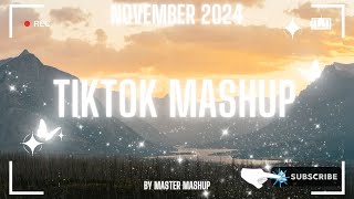 🖤 TIKTOK MASHUP 🖤 NOVEMBER 2024 🖤 not clean 🖤 [upl. by Neelram]