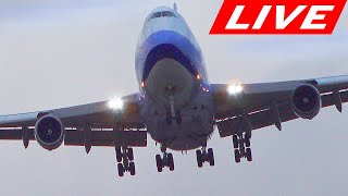 🔴LIVE CROSSWIND ACTION at BUSY CHICAGO OHARE INTERNATIONAL AIRPORT  ORD Plane Spotting [upl. by Olympia]