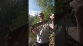 Potential PB pickerel [upl. by Callahan]