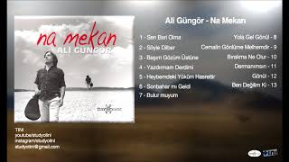 ALİ GÜNGÖR  SONBAHAR MI GELDİ [upl. by Akiemahs]