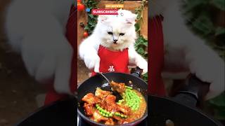 Cat 🐈 chicken fry for baby food shorts dog baby chicken fry food [upl. by Elleniad]