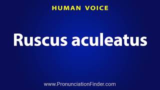 How To Pronounce Ruscus aculeatus [upl. by Ycat631]