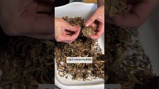 How to Easily Save Zinnia Seeds It’s so Easy homegrowngardens garden flowers [upl. by Ailemak59]