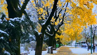 8K Walkthough in Winter Brasov Romania  Sophat Notes [upl. by Lucius]