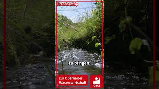 Branchentrip zur Oberharzer Wasserwirtschaft [upl. by Zwart370]