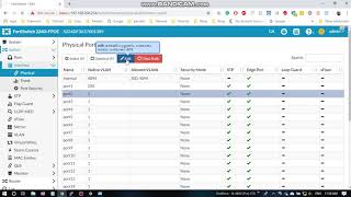 Create Tagged VLan Trunk Port [upl. by Mercola342]