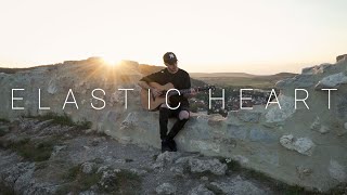 Sia  Elastic Heart Acoustic Cover by Dave Winkler [upl. by Kenward]