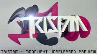 Tristam  Moonlight Unreleased preview [upl. by Bertie829]